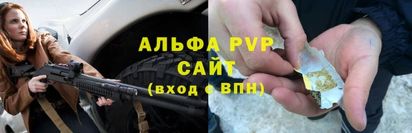 ECSTASY Вяземский