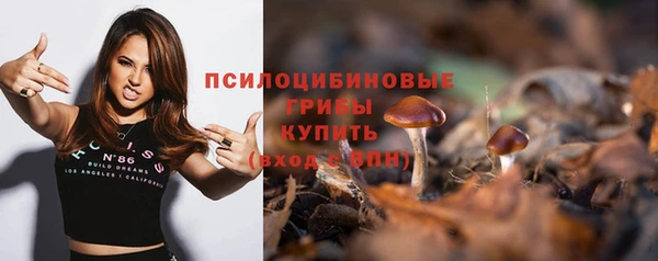 МДПВ Вязники