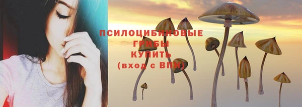 МДПВ Вязники