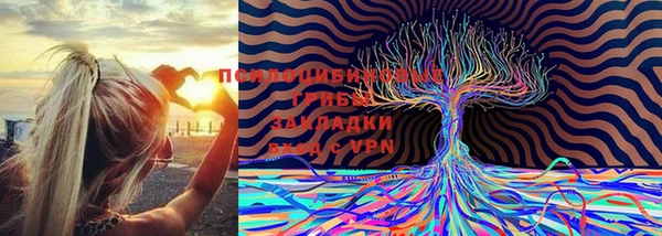 МДПВ Вязники