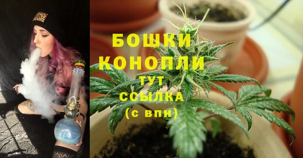 ECSTASY Вяземский