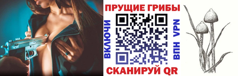 Псилоцибиновые грибы мухоморы  дарк нет как зайти  Невьянск  ОМГ ОМГ сайт 